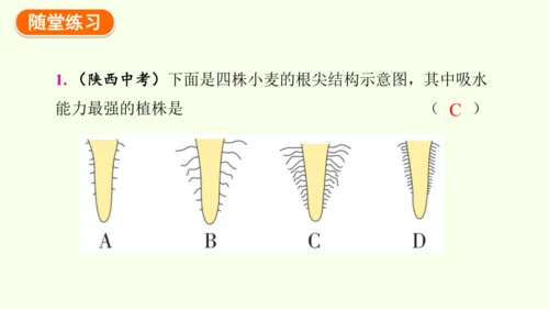 3.2.1水的利用与散失-七年级生物下学期同步精品课件（2024人教版）(共32张PPT)