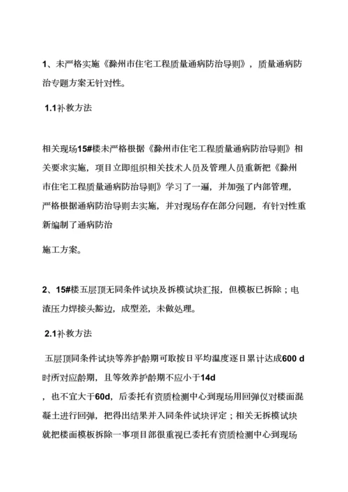 活动专项方案之综合项目工程质量整改专项方案.docx