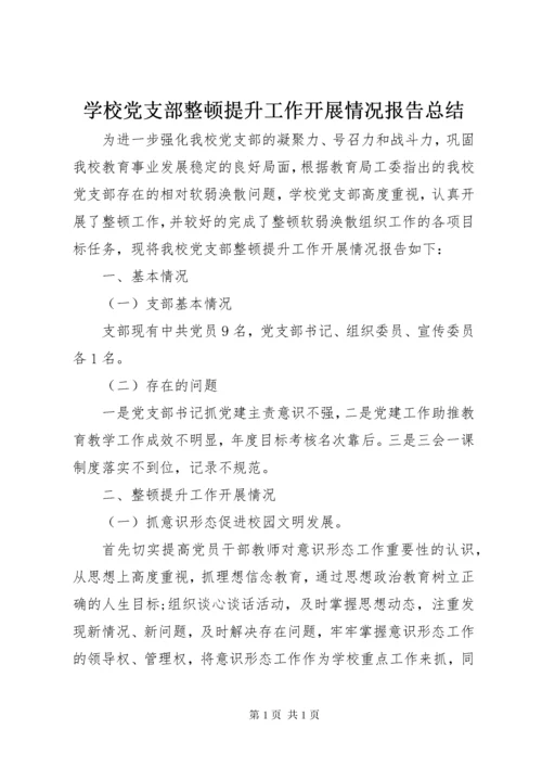 学校党支部整顿提升工作开展情况报告总结.docx