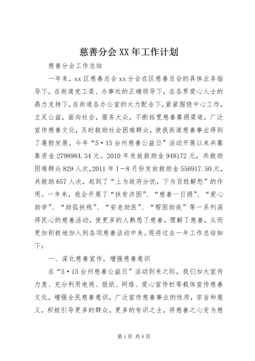 慈善分会XX年工作计划 (3).docx