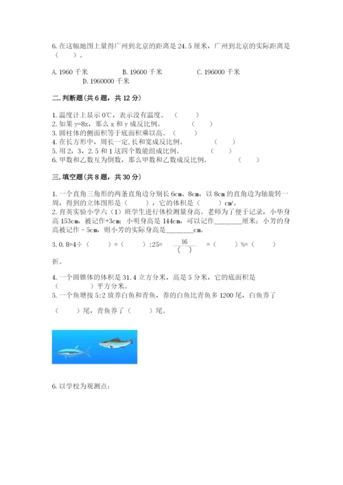 兴城市六年级下册数学期末测试卷审定版.docx
