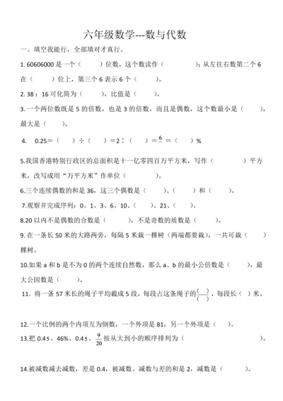 北京版小学六年级数学总复习《数与代数》练习题.docx