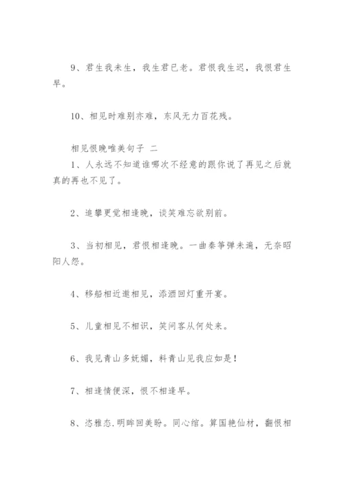 相见恨晚唯美句子(精选23句).docx