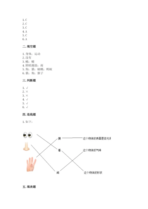 教科版一年级下册科学期末测试卷完整答案.docx