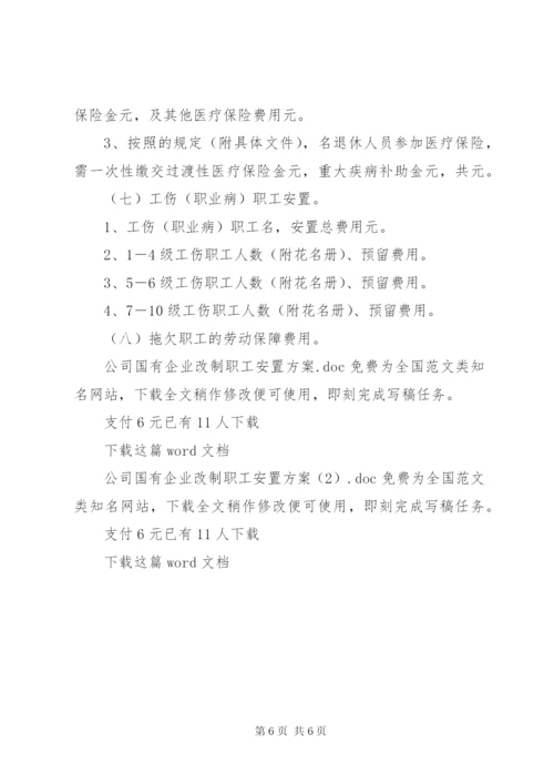 公司国有企业改制职工安置方案.docx