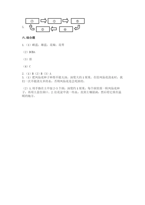 科学四年级下册第一单元植物的生长变化测试卷及完整答案1套.docx