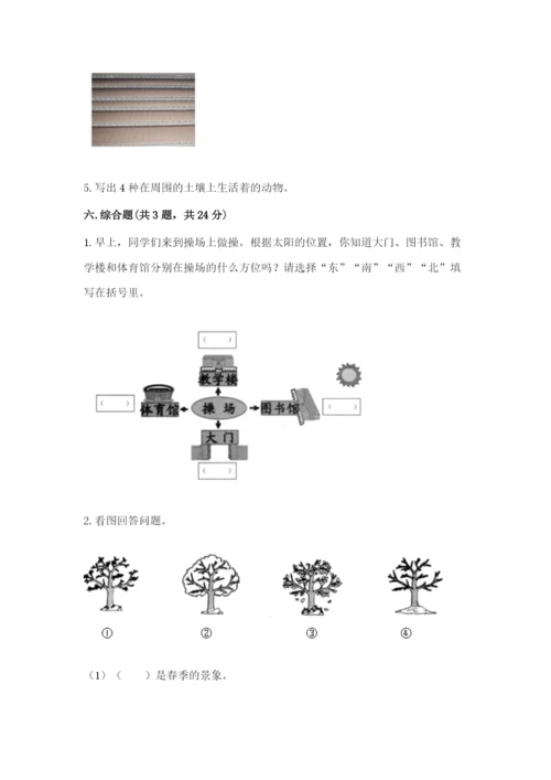 教科版二年级上册科学期末测试卷精品含答案.docx