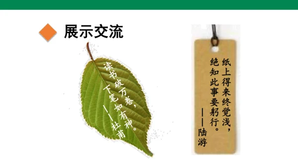 部编版四下第八单元 语文园地八 课件