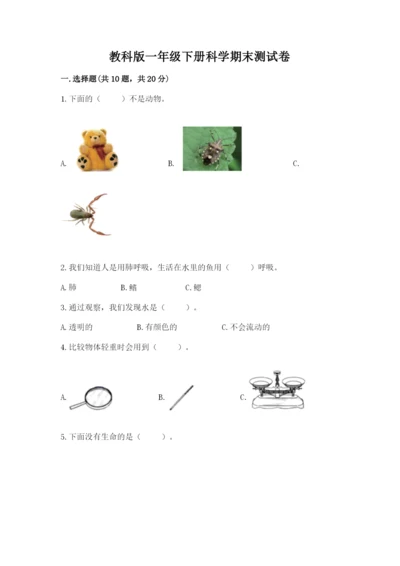教科版一年级下册科学期末测试卷及参考答案（综合卷）.docx