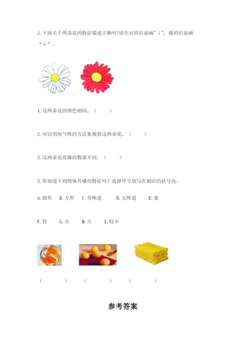 教科版一年级下册科学期末测试卷附答案【轻巧夺冠】.docx