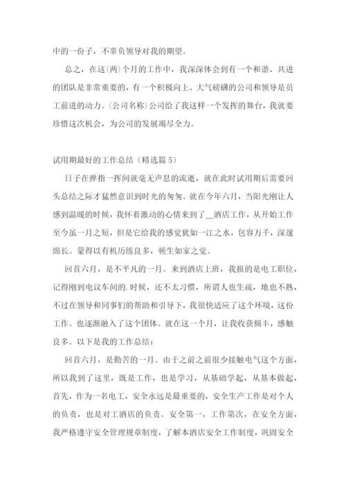 新年试用期最好的工作总结.docx