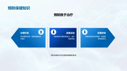 初中生理系统解析PPT模板