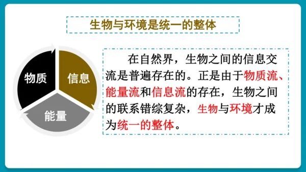 5.2.3社会行为课件-人教版生物八年级上册