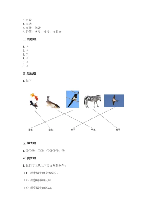 教科版一年级下册科学期末测试卷及参考答案【综合题】.docx