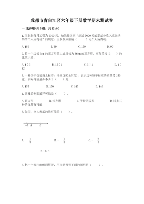 成都市青白江区六年级下册数学期末测试卷学生专用.docx