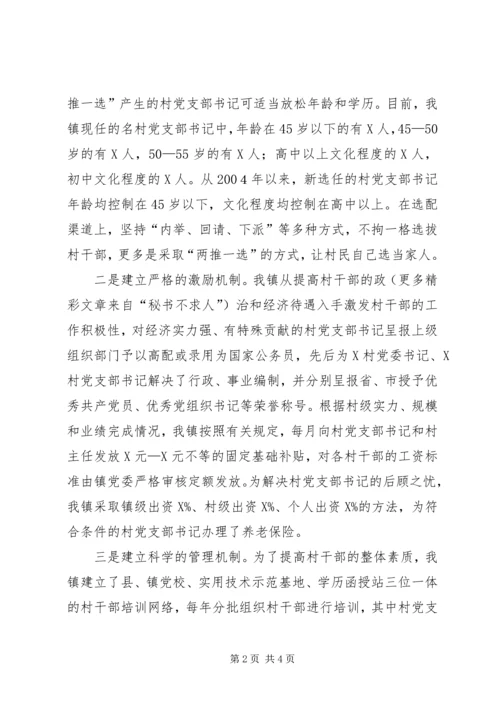 村党支部书记规范化管理工作汇报材料 (2).docx