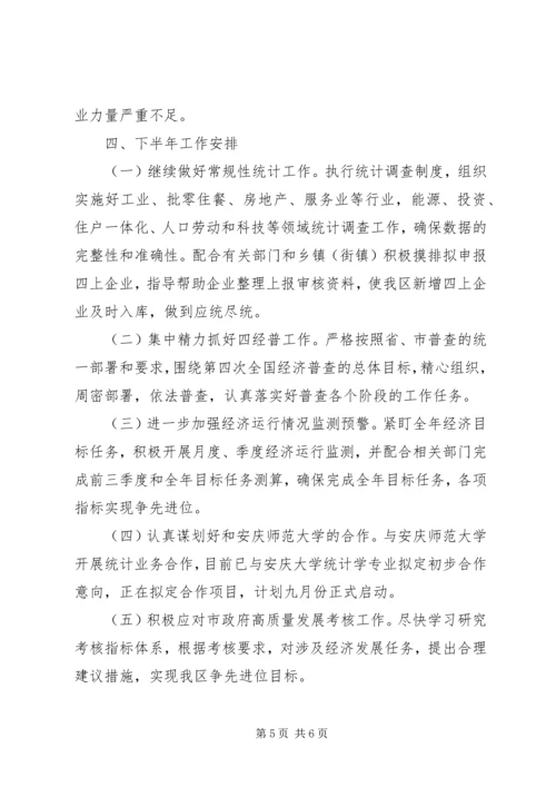 统计局XX年上半年工作总结和下半年工作安排.docx