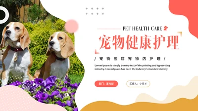 宠物健康护理，狗狗通用PPT模板