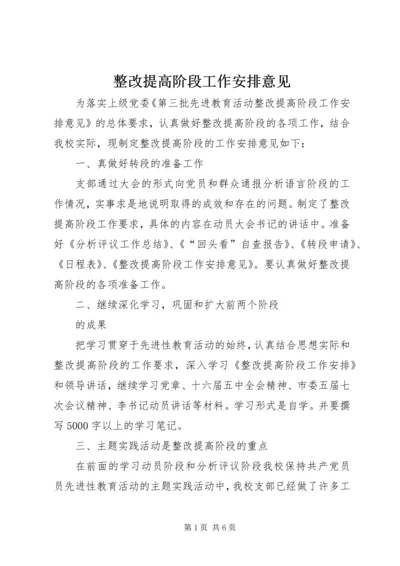 整改提高阶段工作安排意见.docx