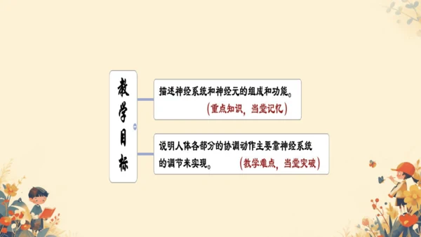 人教版（新课程标准）七年级下册4.6.2  神经系统的组成课件(共20张PPT)