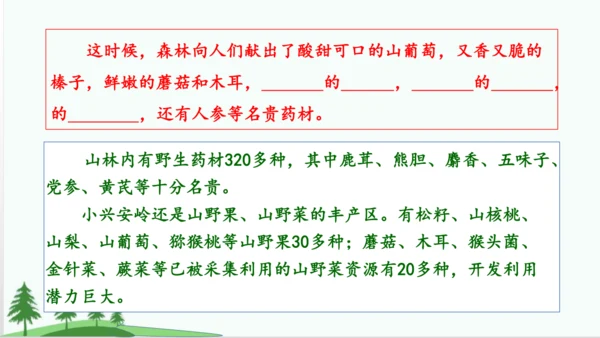 20.美丽的小兴安岭   课件