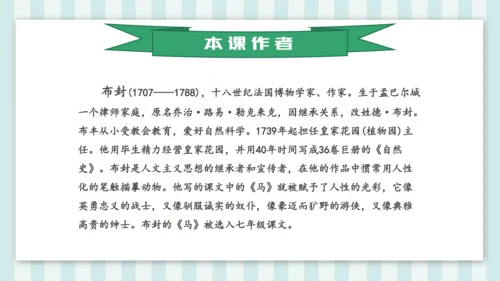 统编版五年级语文上册第17课《松鼠》教学课件