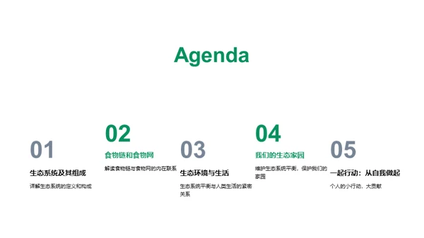 生态环境：平衡与保护