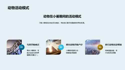 小暑生态现象探析