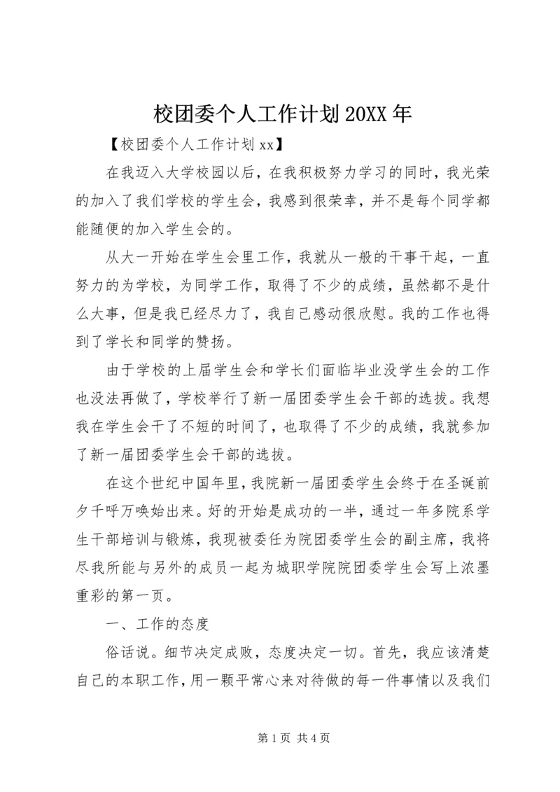 校团委个人工作计划20XX年.docx