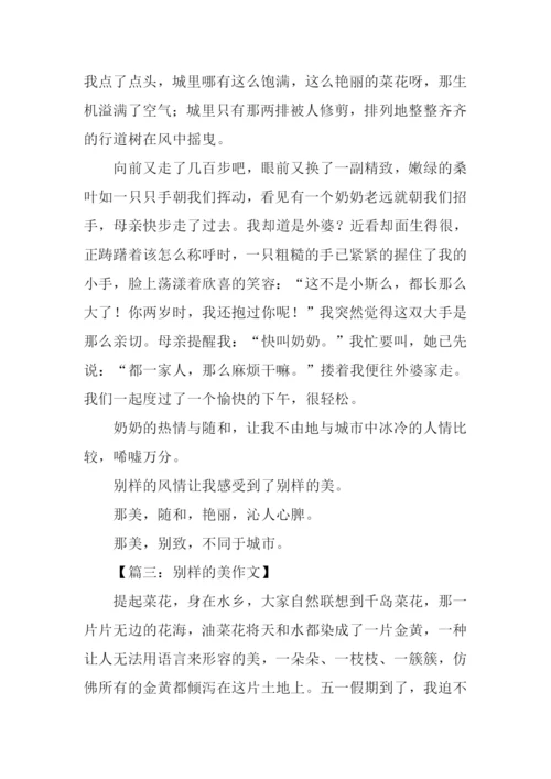 别样的美作文.docx