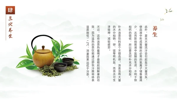 绿色中国风水彩水墨荷花二十四中国节气之三伏天知识介绍PPT