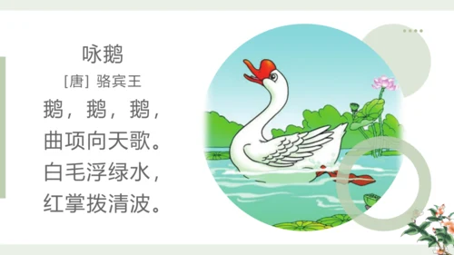 统编版语文一年级上册 第一单元 识字  语文园地一   课件