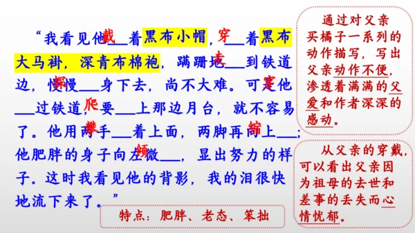 14 背影 课件
