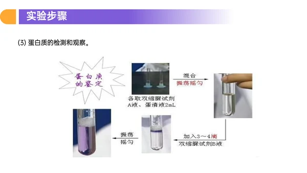人教版高中生物细胞元素化合物PPT课件