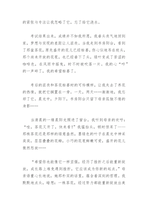 托物言志作文800字初中作文【推荐6篇】.docx