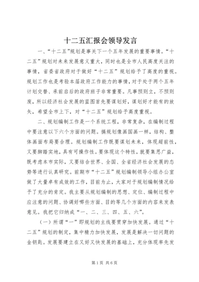 十二五汇报会领导发言.docx