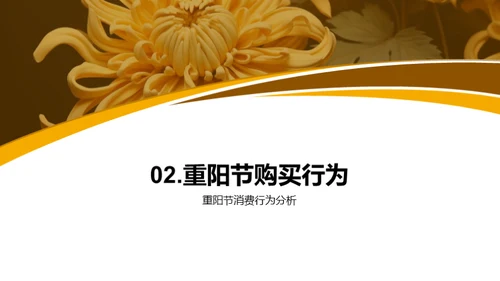 重阳节消费洞察