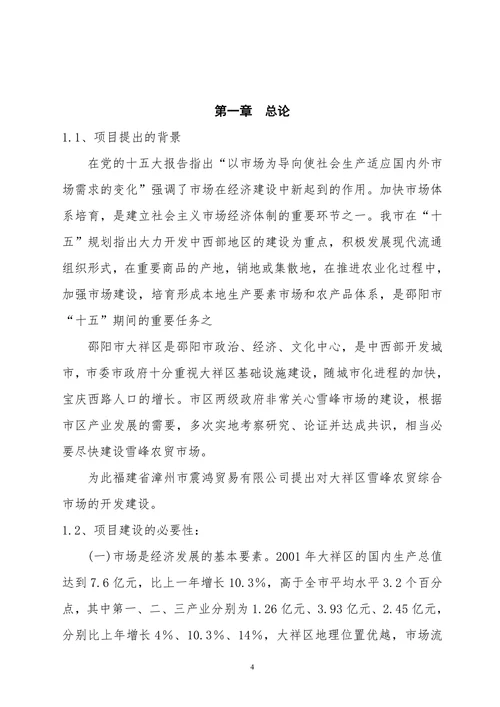 大祥区XX农贸综合市场项目可行性报告