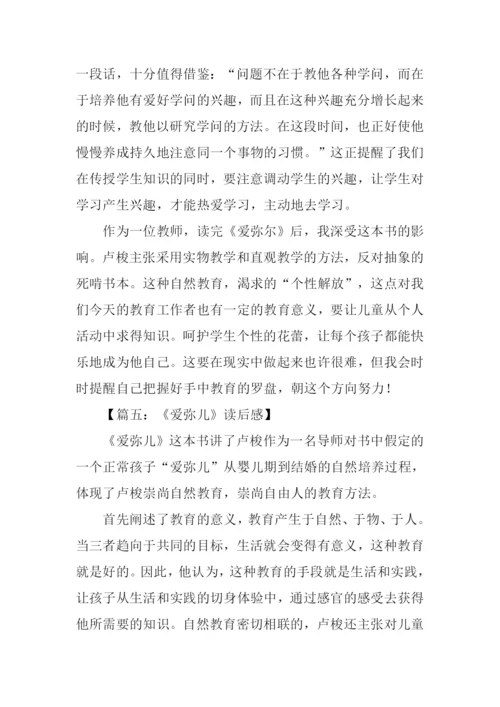 爱弥儿读后感1000字.docx
