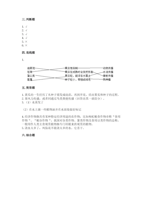 科学四年级下册第一单元《植物的生长变化》测试卷（考试直接用）.docx