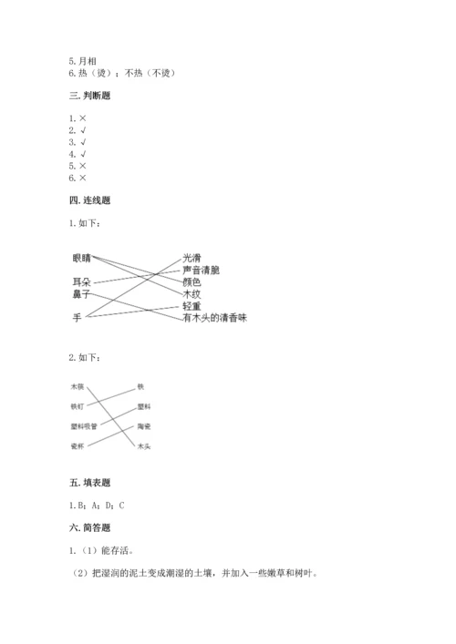 教科版二年级上册科学期末测试卷及答案一套.docx