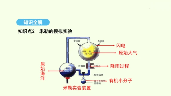 7.3.1地球上生命的起源课件-人教版生物八年级下册(共22张PPT)