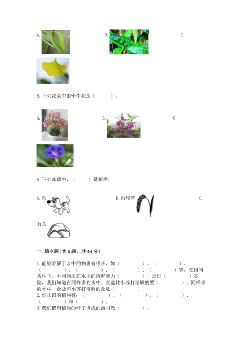 教科版科学一年级上册第一单元《植物》测试卷【全优】.docx