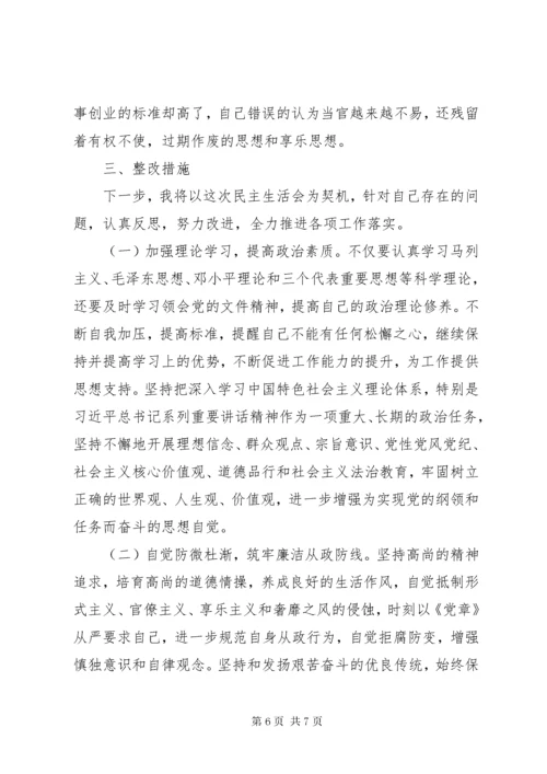 乡镇民主生活会发言材料汇总.docx