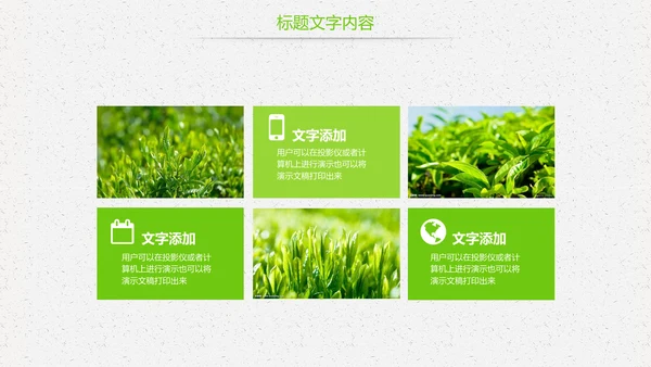 唯美绿色茶园茶文化品茶论道PPT模板