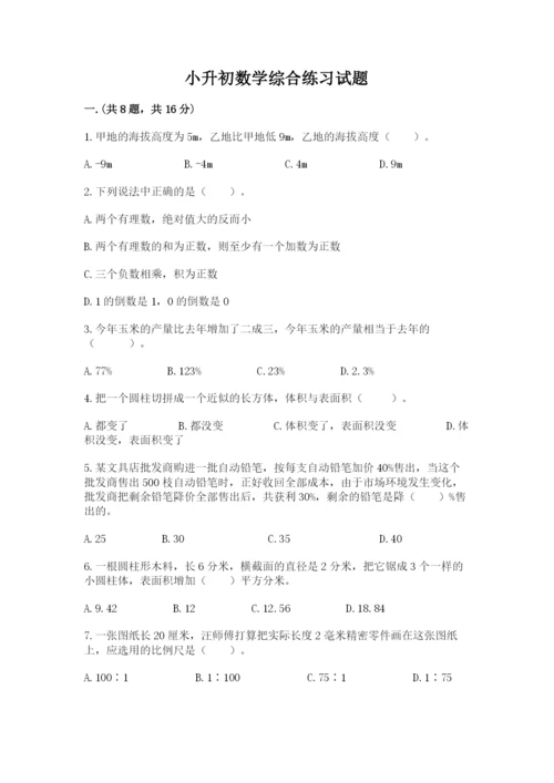 小升初数学综合练习试题精品（全优）.docx