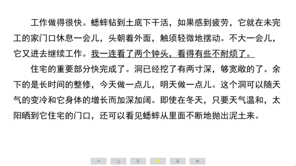 统编版语文四年级上册（江苏专用）第三单元素养测评卷课件