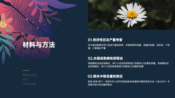 植物与污染研究漂亮的叶子通用PPT模板