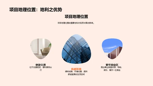 项目投资策略解析