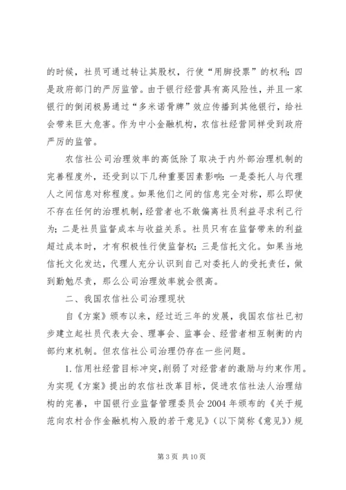 公司治理的缺陷及改进对策综述.docx